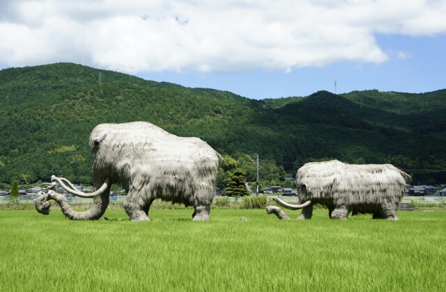 旧石器時代のまとめ