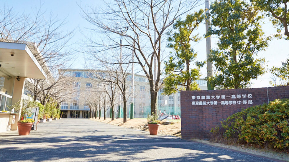 農業 大学 値 東京 偏差 東京農業 大学受験